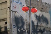 12th Feb 2024 - Chinese Lanterns