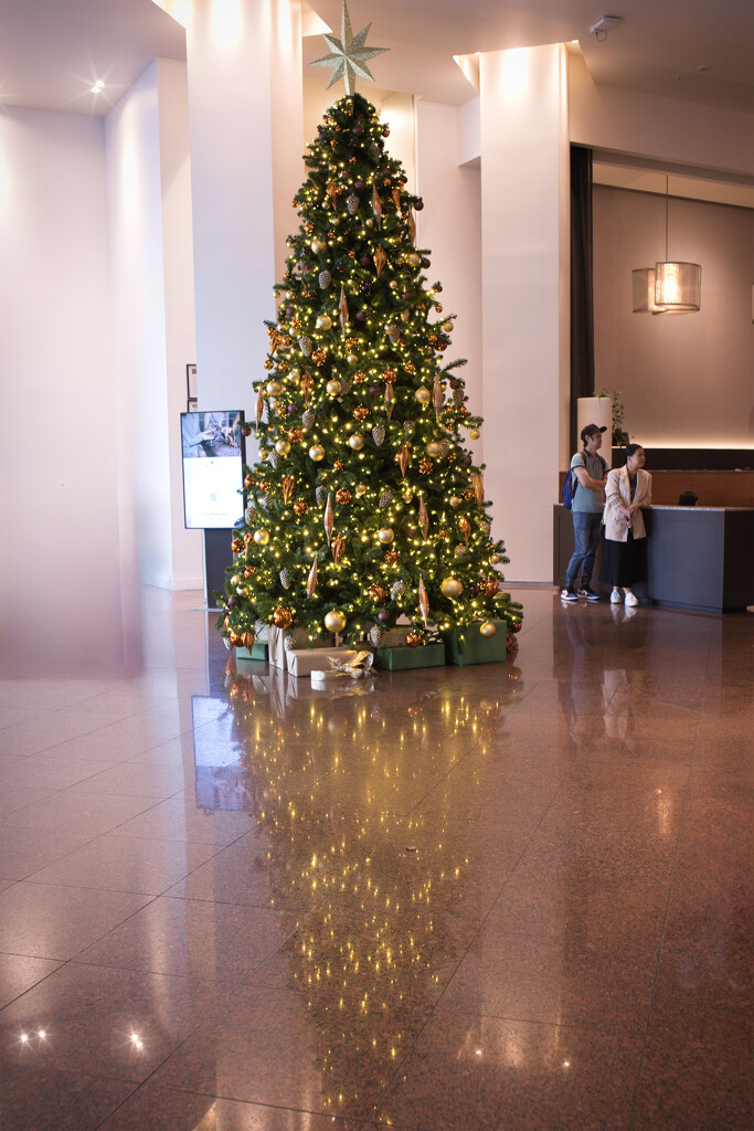 Christmas tree by dkbarnett