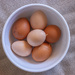 fresh eggs by aecasey