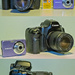 Canon 5D vs. Samsung ST30