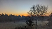 9th Feb 2024 - Misty winter morning