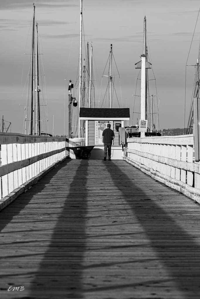 Leading lines at the marina by theredcamera