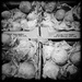 Pears | Black & White by yogiw