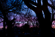 12th Feb 2024 - A Gorgeous Sunset