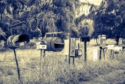 13th Feb 2024 - Rural post boxes