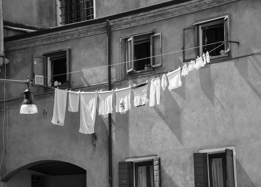 Venice washing  by brigette