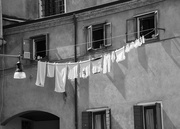 11th Feb 2024 - Venice washing 