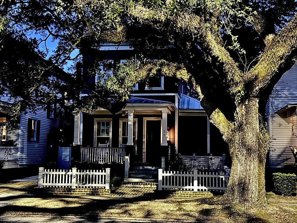 Shadows and light on an old house and oak tree by congaree