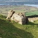 The elephant rock on Bredon hill