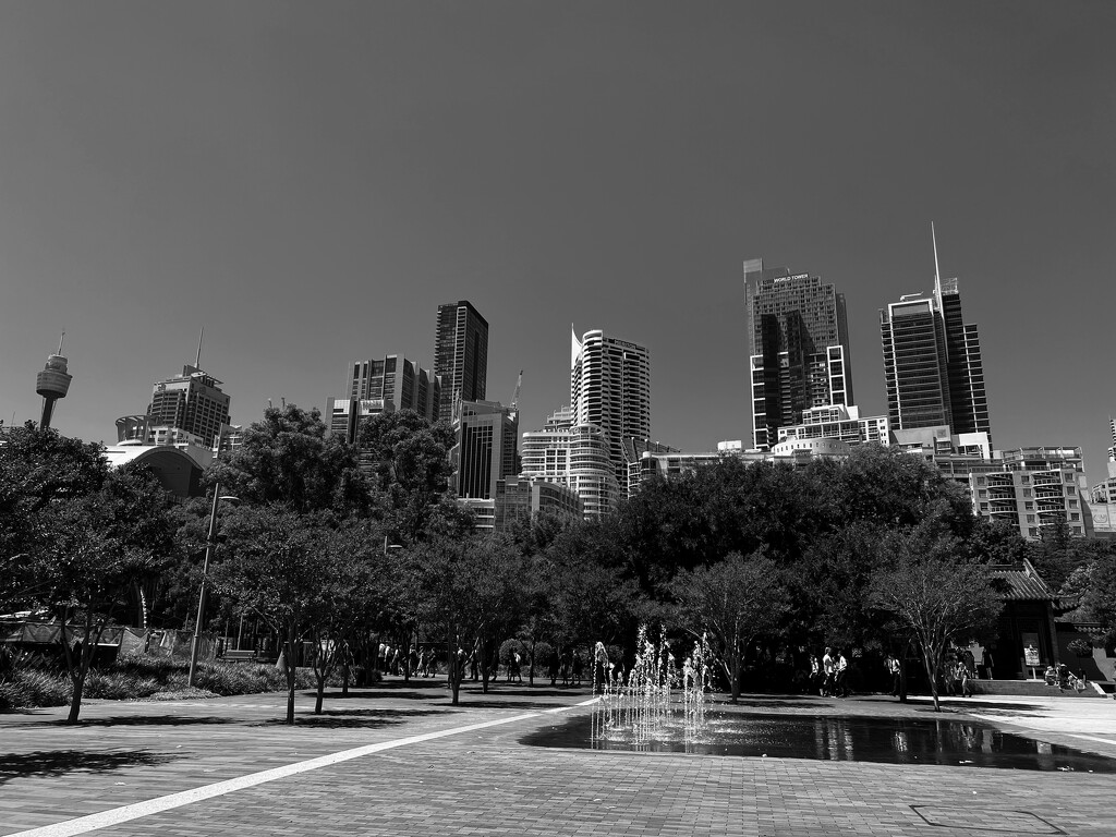 Sydney cityscape from Tumbalong Park, Darling Harbour , Sydney.  by johnfalconer