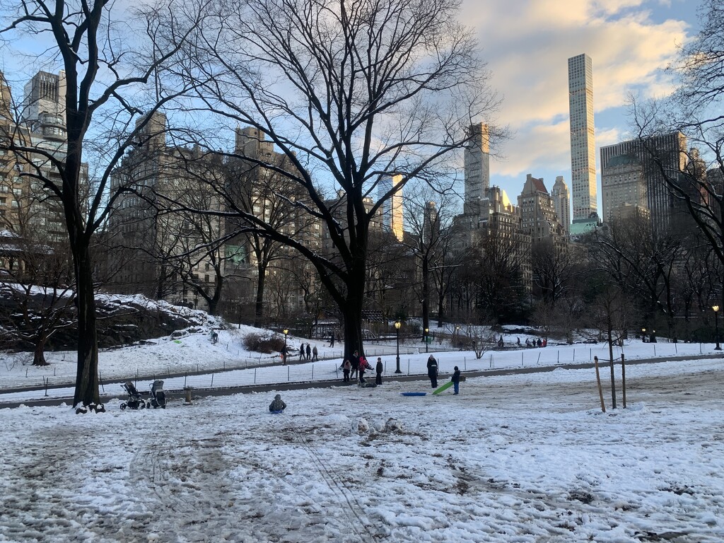 Snow Day in Central Park by blackmutts