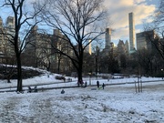 13th Feb 2024 - Snow Day in Central Park