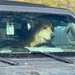 2 12  Canine Driver