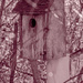 Birdhouse in the honeysuckle