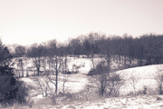 12th Feb 2024 - landscape