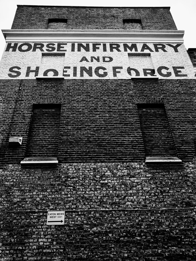 Horse infirmary and shoeing forge  by boxplayer