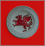 14th Feb 2024 - The red dragon of Wales 