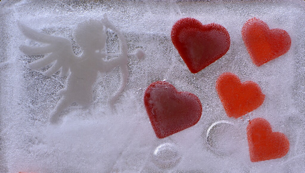 Happy Valentines........ by ziggy77