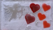 14th Feb 2024 - Happy Valentines........