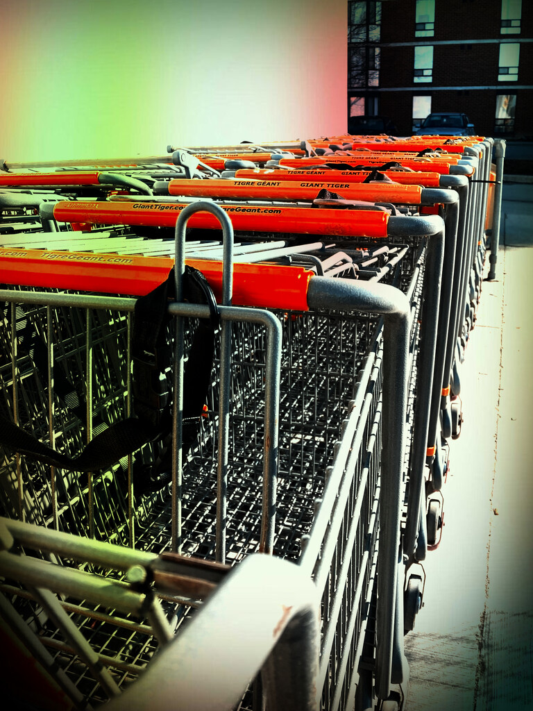 Rank of Shopping Carts with a Flash of Red by spanishliz