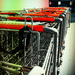 Rank of Shopping Carts with a Flash of Red