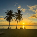 Two palm trees and a sunset.  by cocobella