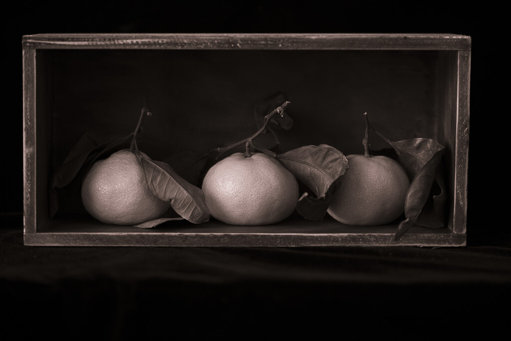 Toned tangerines by theredcamera