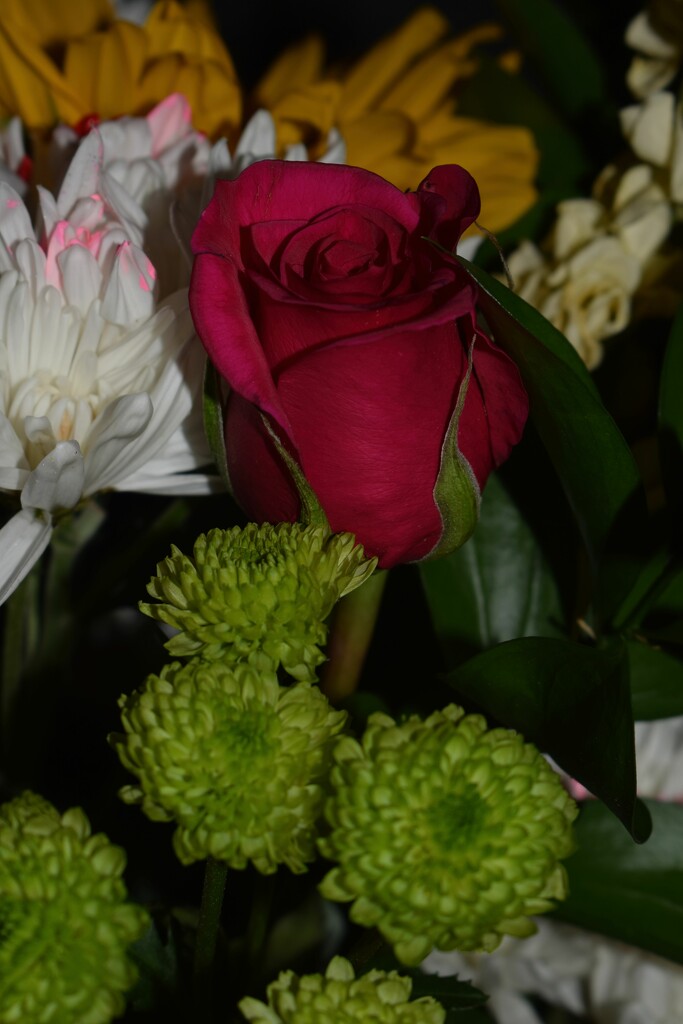 2 14 Valentine Bouquet by sandlily
