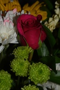 14th Feb 2024 - 2 14 Valentine Bouquet