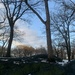 Snowy Central Park by blackmutts