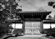 11th Feb 2024 - Japanese Tea Garden