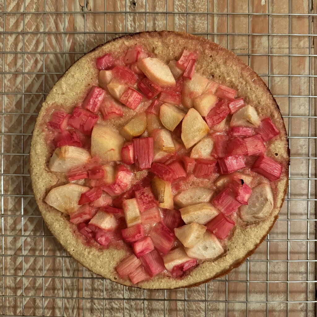 Rhubarb + pear by eviehill