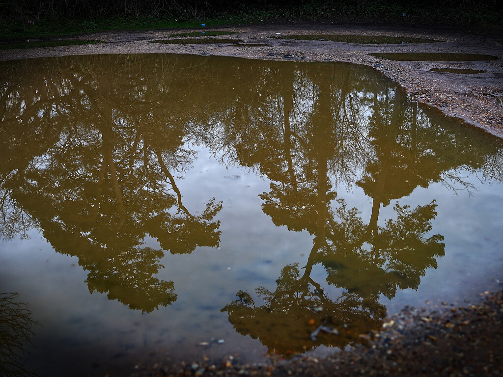 Reflection.... by neil_ge