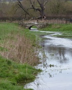 15th Feb 2024 - River running 