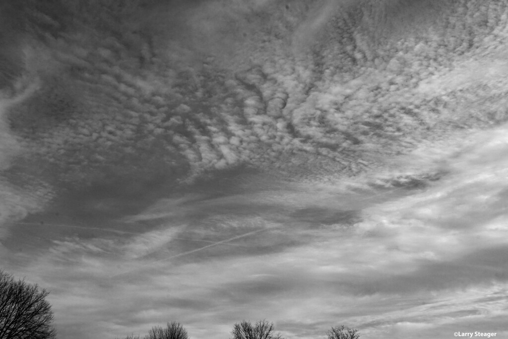 Sky painting for winter black and white by larrysphotos