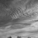 Sky painting for winter black and white