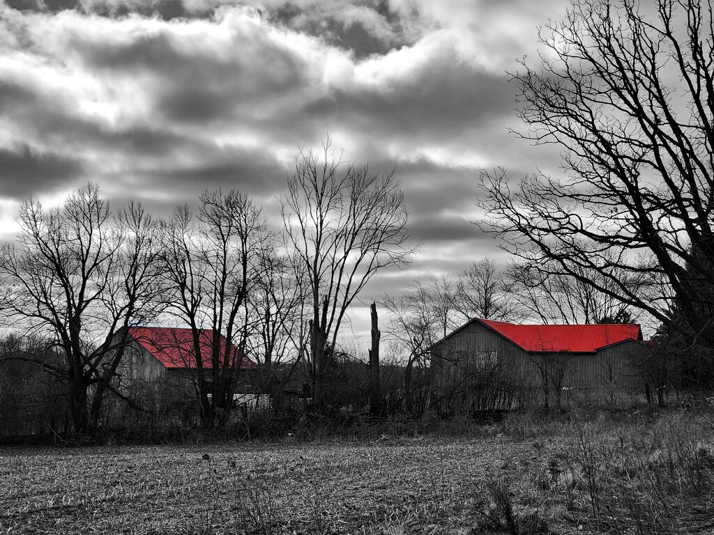 Red Rural Roofs by ljmanning