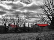 15th Feb 2024 - Red Rural Roofs