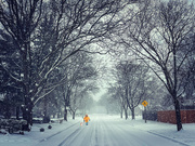 15th Feb 2024 - Winter Roads