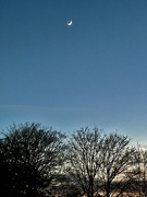 13th Feb 2024 - New moon