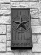 16th Feb 2024 - We Texans love our star