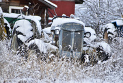 14th Feb 2024 - Old Tractor