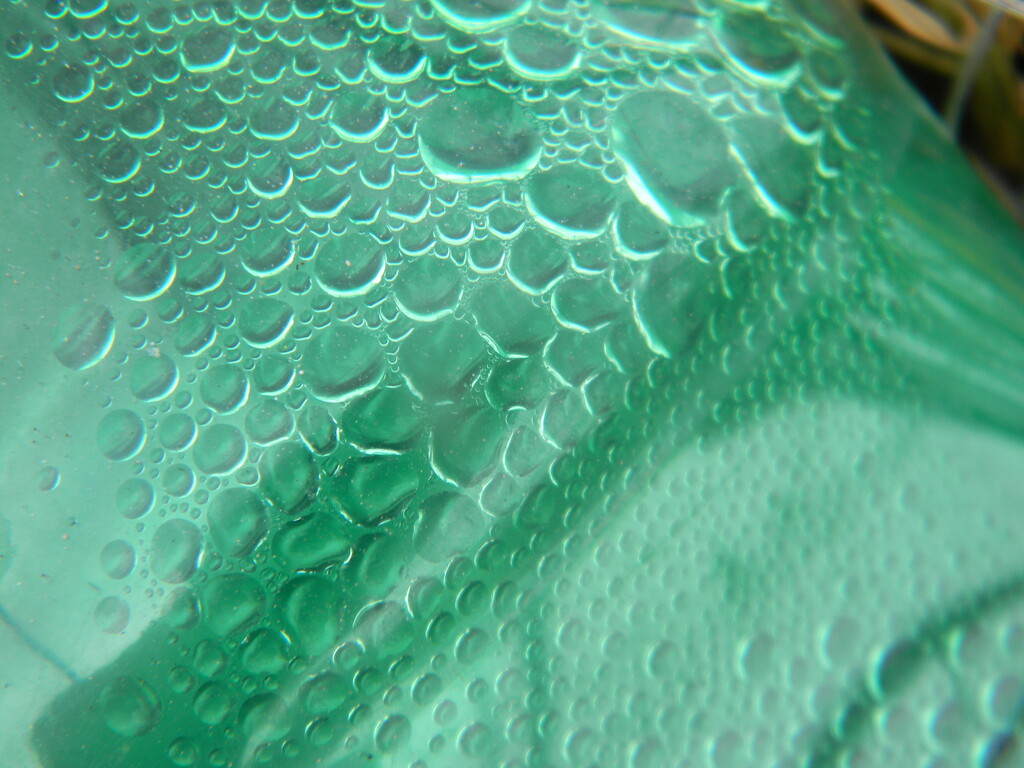 Condensation on Bottle  by sfeldphotos