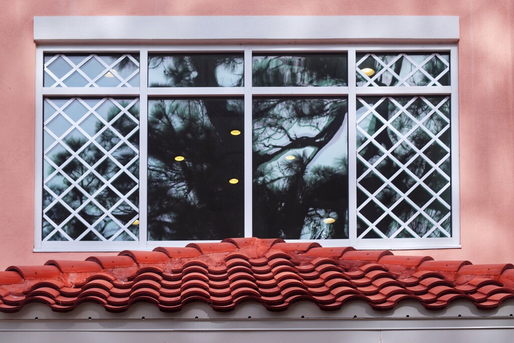 WINDOW W/ RUMBA SKIRT by joemuli