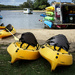 Hire canoes on the Maroochy River.