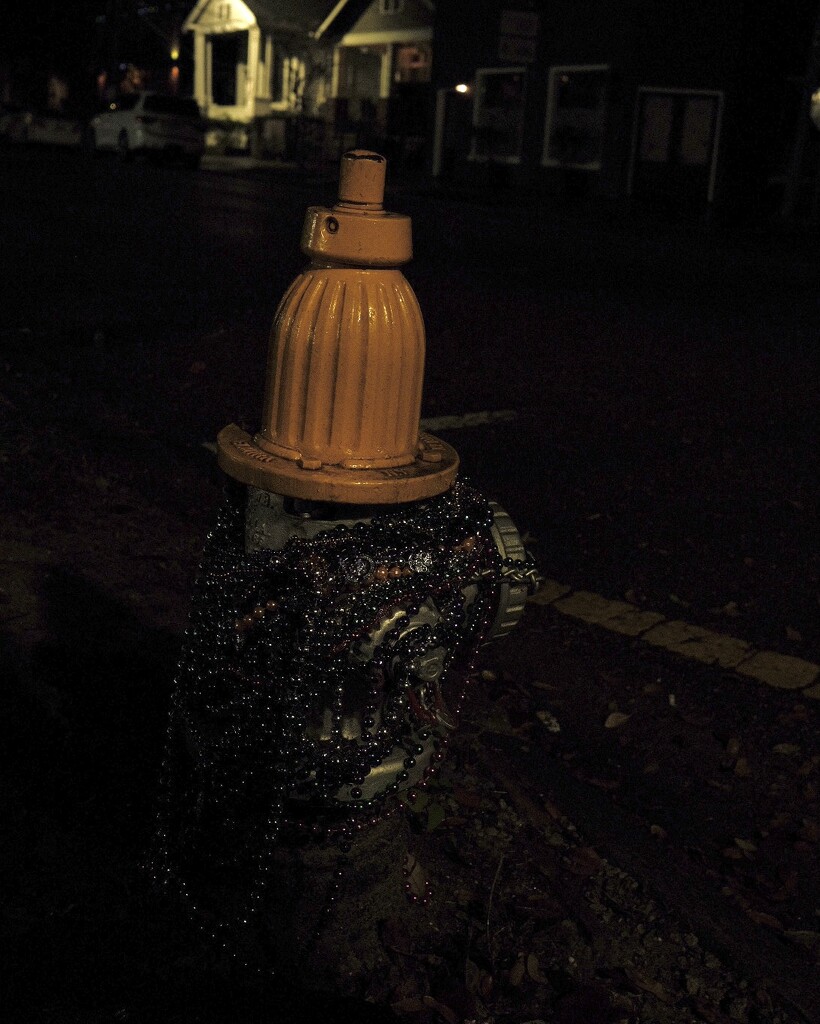 The fire hydrant caught plenty of beads! by aaronosaurus