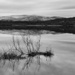 Loch Kinord Reflections