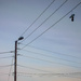 Streetlamp, wires and shoes :)