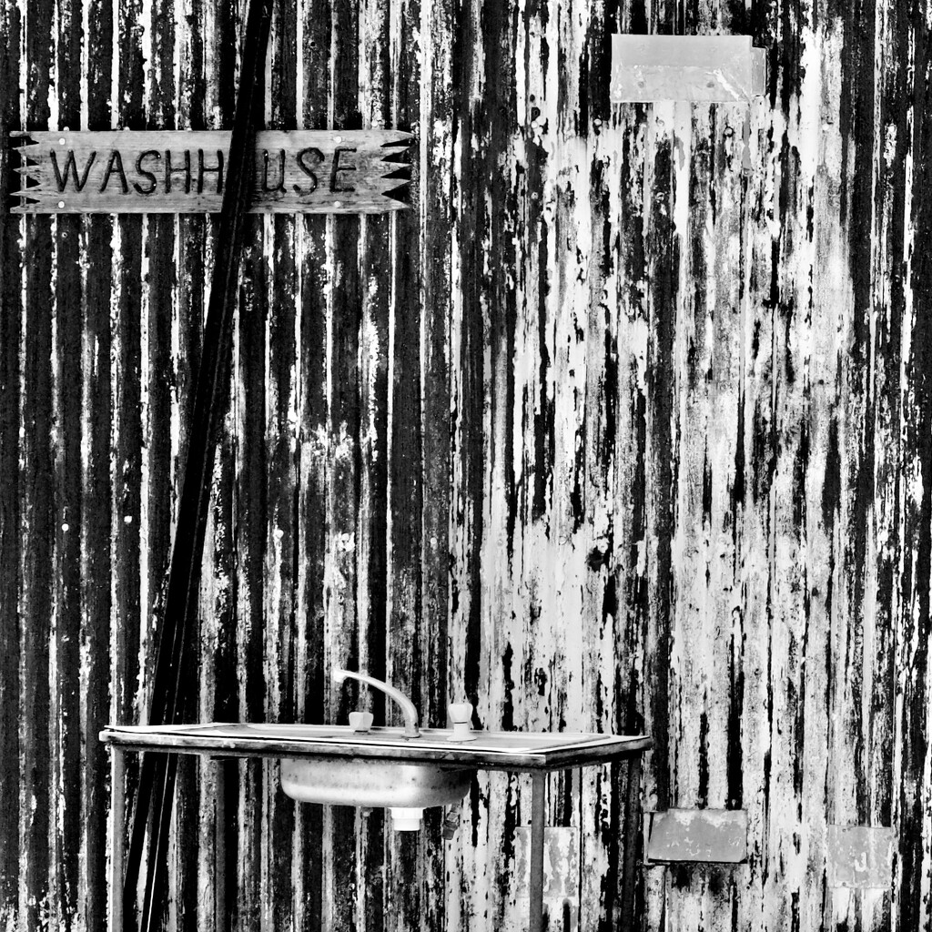 The Washhouse Wall P9295925 by merrelyn