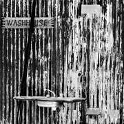 17th Feb 2024 - The Washhouse Wall P9295925